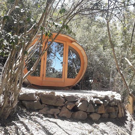 Biosfera Lodge Olmué Екстериор снимка