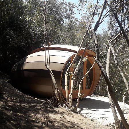 Biosfera Lodge Olmué Екстериор снимка