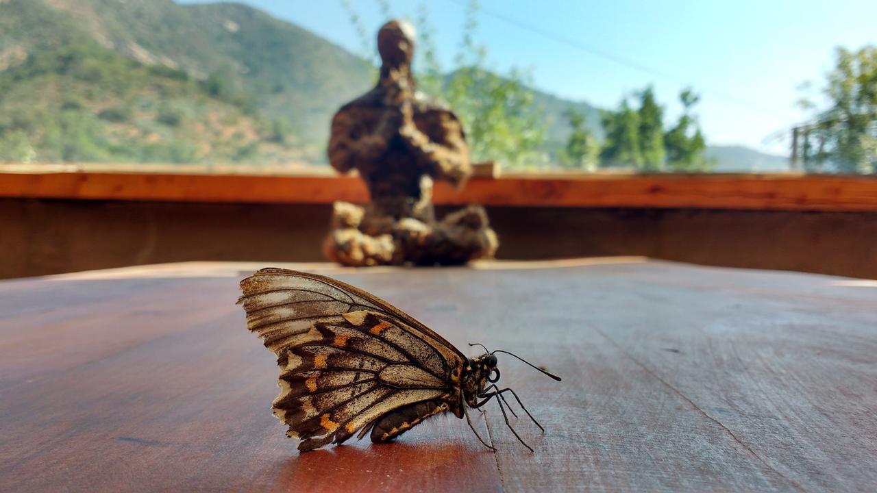 Biosfera Lodge Olmué Екстериор снимка