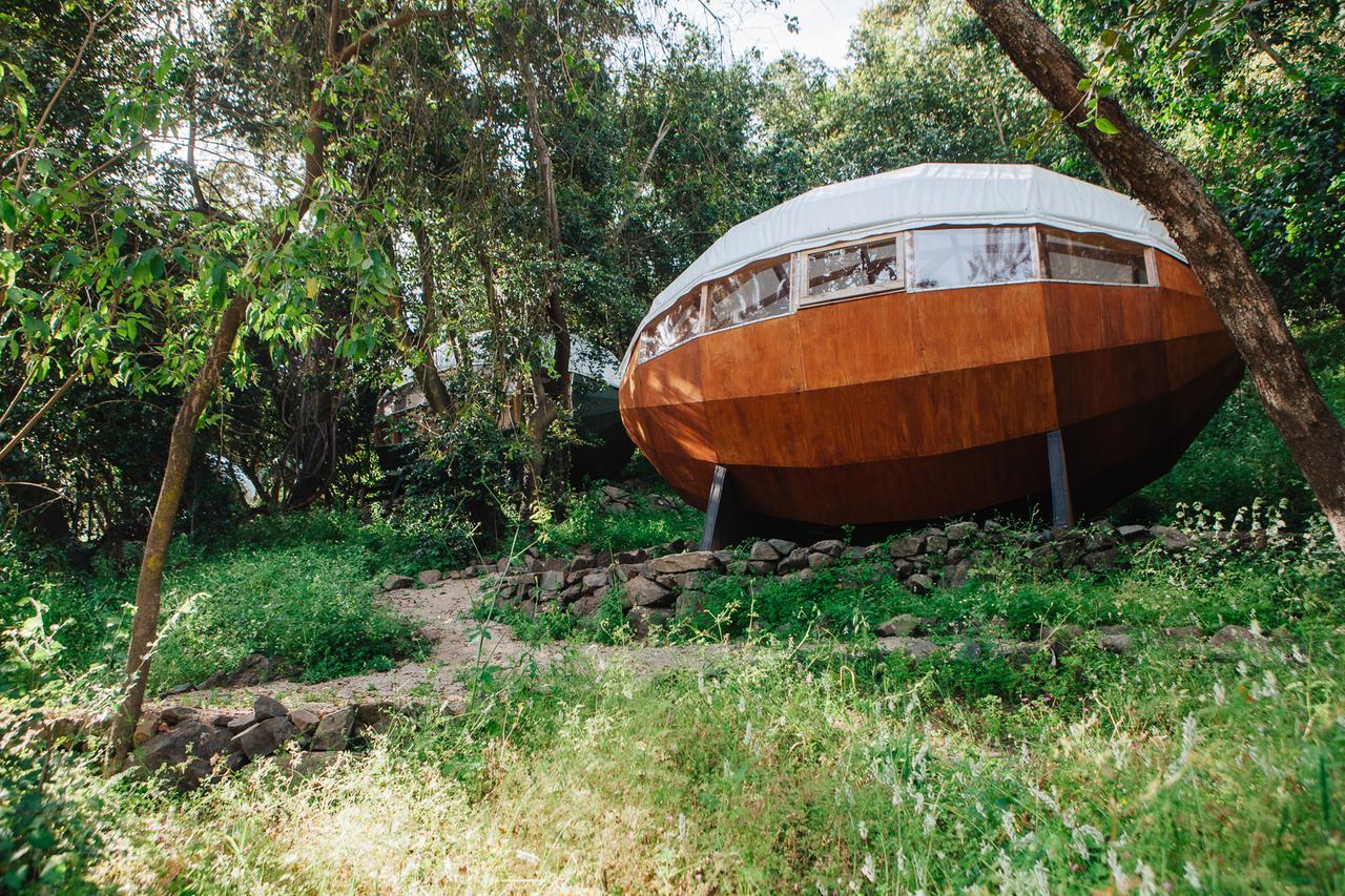 Biosfera Lodge Olmué Екстериор снимка