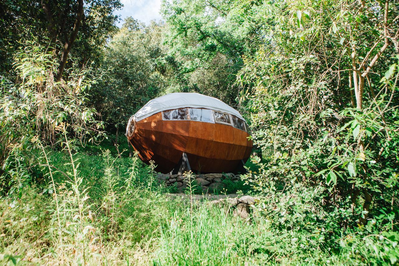 Biosfera Lodge Olmué Екстериор снимка
