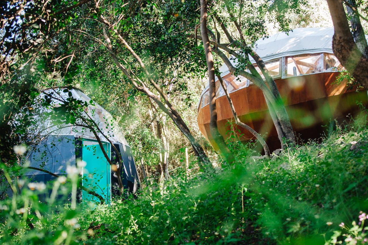 Biosfera Lodge Olmué Екстериор снимка