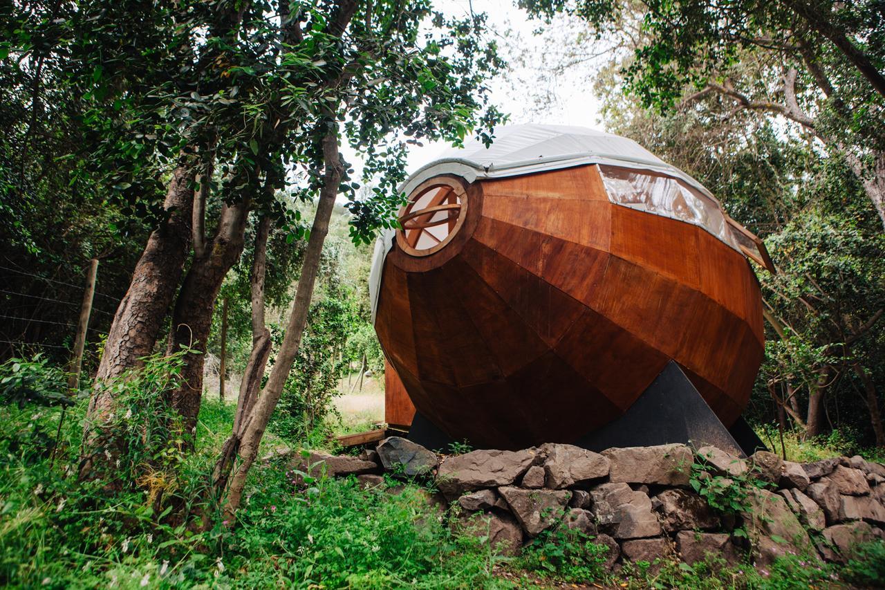 Biosfera Lodge Olmué Екстериор снимка