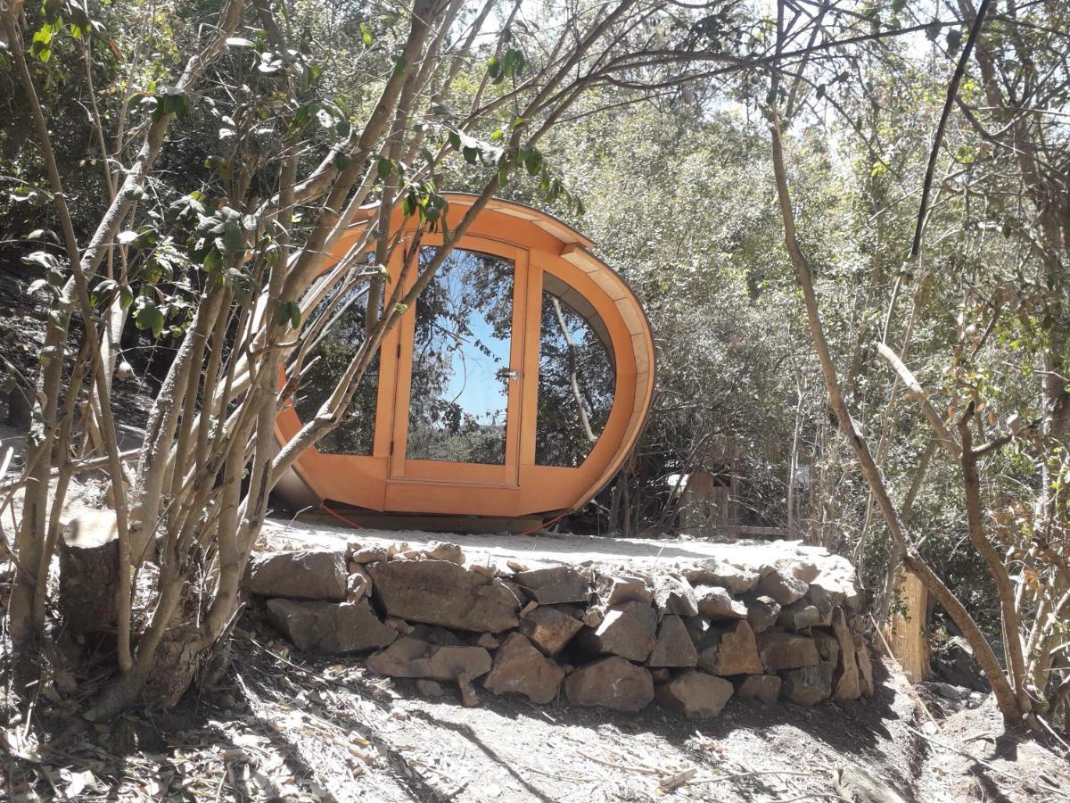 Biosfera Lodge Olmué Екстериор снимка